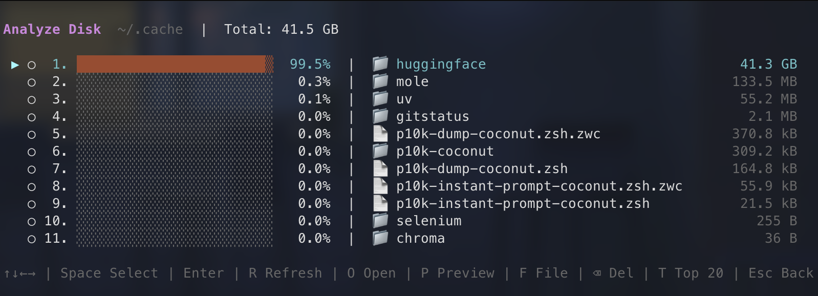 Inside ~/.cache, the huggingface folder accounts for 41.3 GB — 99.5% of the folder's contents