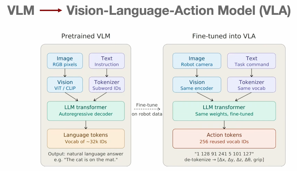 Turning a pretrained VLM into a VLA: same vision encoder, same tokenizer, same weights fine-tuned; language tokens become action tokens