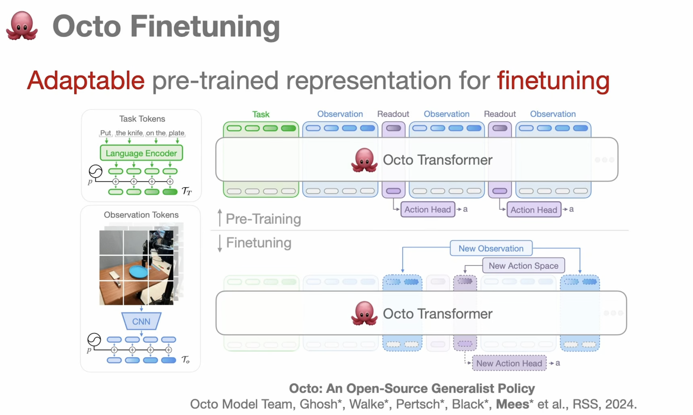 Octo fine-tuning: a new observation adds a token group, a new action space adds a new readout and action head, the transformer is kept